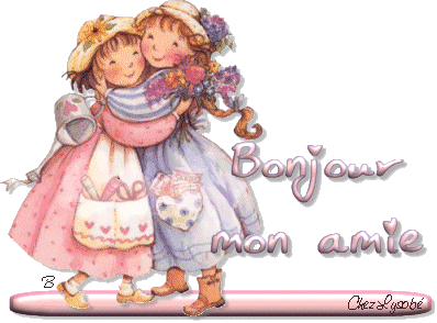 Bonjour mes ami(e)s